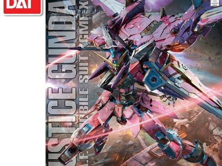 Japaness BANDAI Original Gundam MG 1 100 Model GUNDAM SEED DESTINY JUSTICE Mobile Suit Kids Toys With Holder Cheap